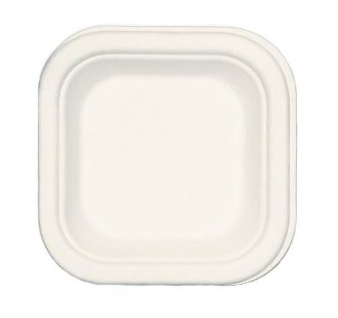 bb8bf547b58f1c3c39ebaaac0a968745dde3ae0e_1628682705-e1764248240978.jpg بشقاب مربع 750عددی سوگاس - Image 1